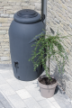 Aquacan_Baby_ICAN210_S433_aranz_01.png