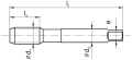 rys_2-2-880x405.png