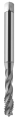 zdj_19-1.png