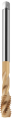 zdj_14-1.png